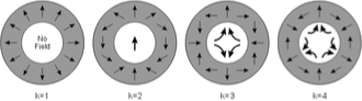 magnet halbach array